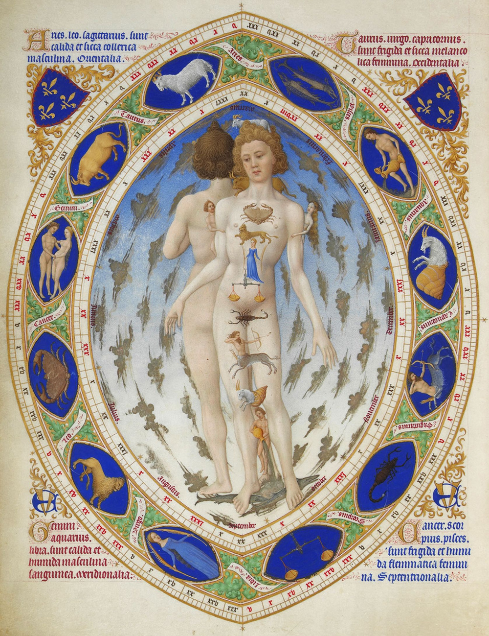 Anatomical man with zodiac wheel — medieval illuminated manuscript